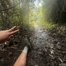 Abigail Cosenza - Salkantay Inca Trail (Peru)