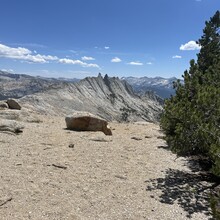 Van Ledger - Yosemite Picnic (CA)