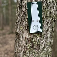 Alexandria Leveille - Lake Sunapee Circumnavigation (NH)