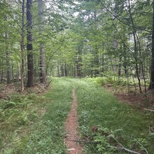 Alexandria Leveille - Lake Sunapee Circumnavigation (NH)
