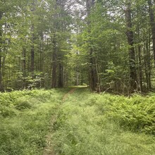 Alexandria Leveille - Lake Sunapee Circumnavigation (NH)