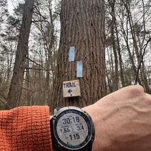 Emily Dion, Oskar Dean - Zoar Trail (CT)