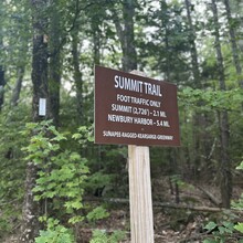 Alexandria Leveille - Lake Sunapee Circumnavigation (NH)