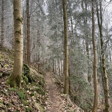 Christian Kupke - Südharzer Dampflok- Steig