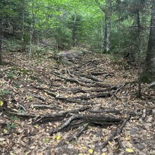 Alexandria Leveille - Lake Sunapee Circumnavigation (NH)