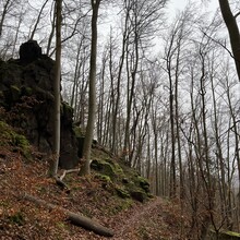 Christian Kupke - Südharzer Dampflok- Steig