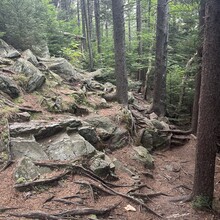 Alexandria Leveille - Lake Sunapee Circumnavigation (NH)