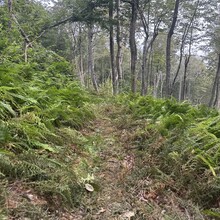 Alexandria Leveille - Lake Sunapee Circumnavigation (NH)