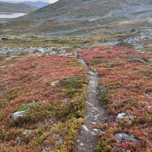 Randi Aalgaard - DNT Massiv 370 (Norway)