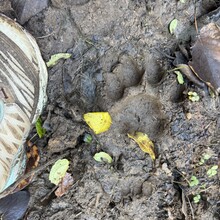 Rinzin Dorji, Anna Frost, Meghan Hicks - Trans Bhutan Trail