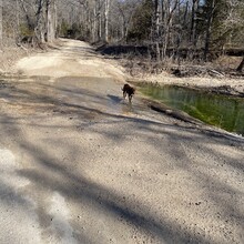 Andrea Tyrrell - Honey Run Trail (MO)