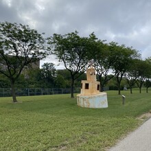 Maria D'Ambrosio - North Shore Channel Trail (IL)
