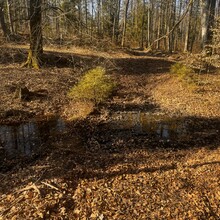 Paweł Żak - Szlak Skarszewski