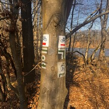 Paweł Żak - Szlak Skarszewski