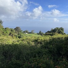 Marie VanZandt - Haleakala (HI)