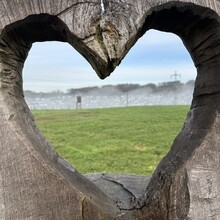 Jan Sauermann - L-Weg - Rund um Lindlar