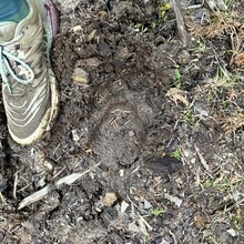 Rinzin Dorji, Anna Frost, Meghan Hicks - Trans Bhutan Trail