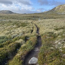 Randi Aalgaard - DNT Massiv 370 (Norway)