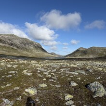 Randi Aalgaard - DNT Massiv 370 (Norway)