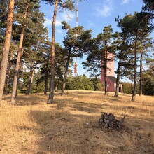 Isabell Maier - Traufgang Zollernburg-Panorama (Germany)