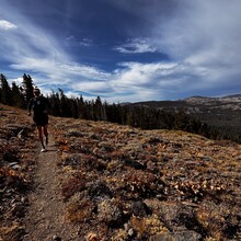 Geoff Quine - Tahoe PCT 100