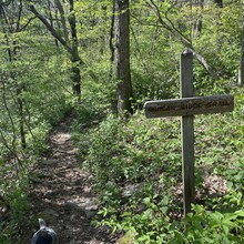 Justin Hamilton - Duncan Ridge Trail (GA)