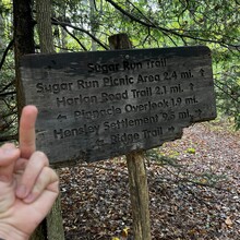 Douglas Niemann - Cumberland Gap - Mischa Mokwa Adventure Trail