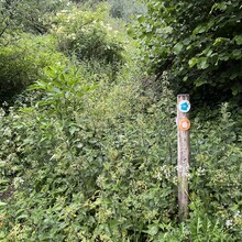 Ritchie Gale - The Pewsey Vale Circular (UK)