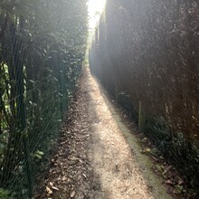 Dennis Vandenbussche - Streek GR Groene Gordel (Belgium)