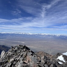 June Watterson - White Mountain (CA)