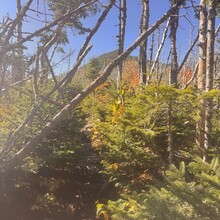 Tim Lachance - Pemigewasset Loop (NH)