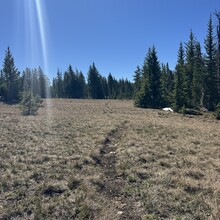Courtney Clifton - Black Mountain Loop (CO)