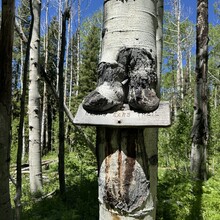 Courtney Clifton - Black Mountain Loop (CO)