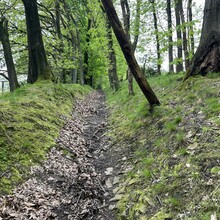 Jarste Nissen - Rundweg um Schwelm (Germany)