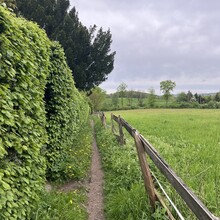 Jarste Nissen - Rundweg um Schwelm (Germany)