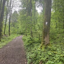 Jarste Nissen - Rundweg um Schwelm (Germany)