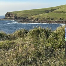 Grant Peters - Kiama Coast Walk