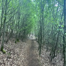 Jarste Nissen - Rundweg um Schwelm (Germany)