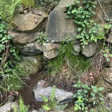 Jarste Nissen - Rundweg um Schwelm (Germany)