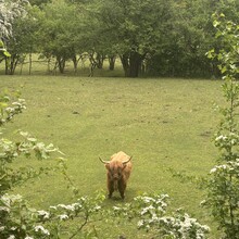 Callum Bayliss - Benelux Highpoints (Belgium, Netherlands, Luxemburg)