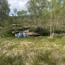 Callum Bayliss - Benelux Highpoints (Belgium, Netherlands, Luxemburg)