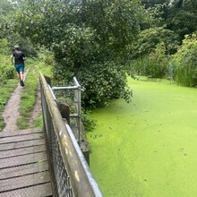 Dan Graham, Adam Graham - Gipping Valley River Path (United Kingdom)