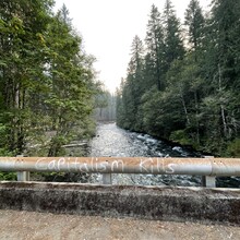 Jameson Collins - McKenzie River Trail (OR)