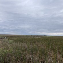 Matthew Matta - Water Conservation Area 2B Levee Greenway (FL)
