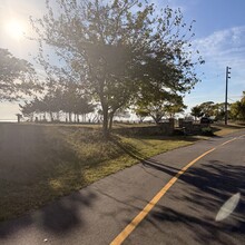 Edie Ready - Sandy Hook (NJ)