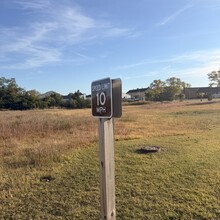 Edie Ready - Sandy Hook (NJ)