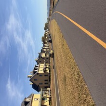 Edie Ready - Sandy Hook (NJ)