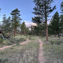 Harlan Grossman - Trans-RMNP Marathon