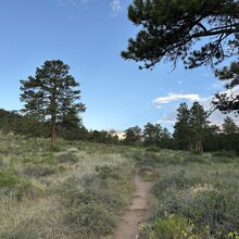 Harlan Grossman - Trans-RMNP Marathon