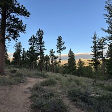 Harlan Grossman - Trans-RMNP Marathon